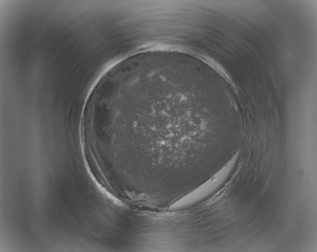 X0000056331247200509161701