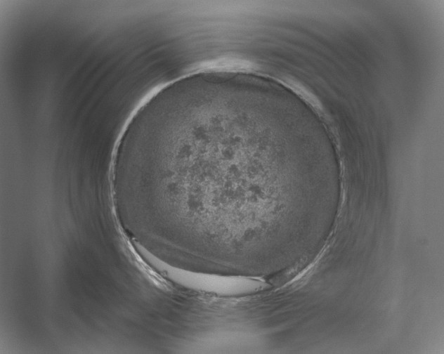 X0000056331248200509161701