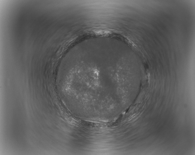 X0000056331249200509161700