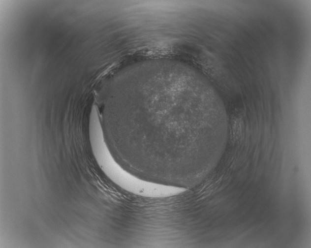 X0000056331250200509161700