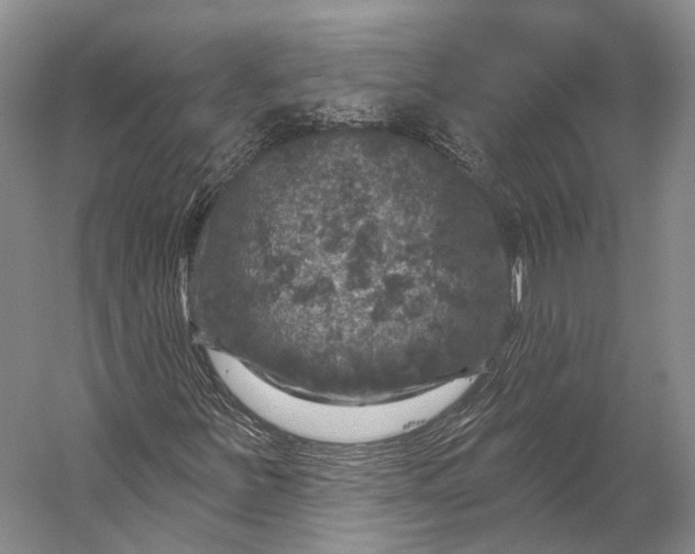 X0000056331251200509161700