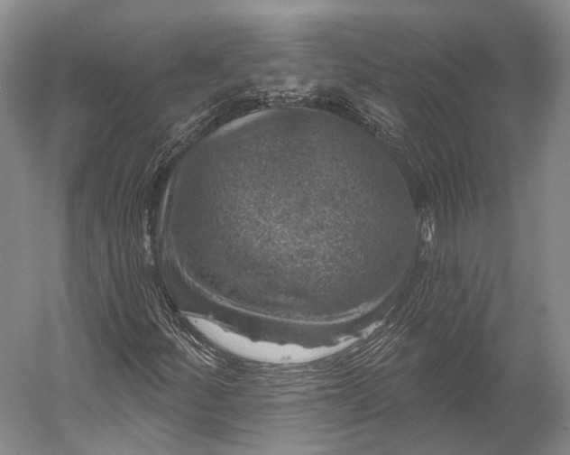 X0000056331252200509161700