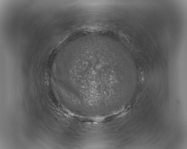 X0000056331253200509161700