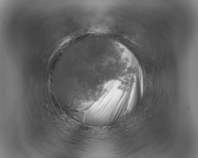 X0000056331254200509161700