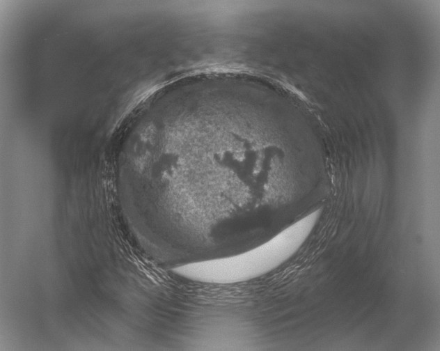 X0000056331255200509161700