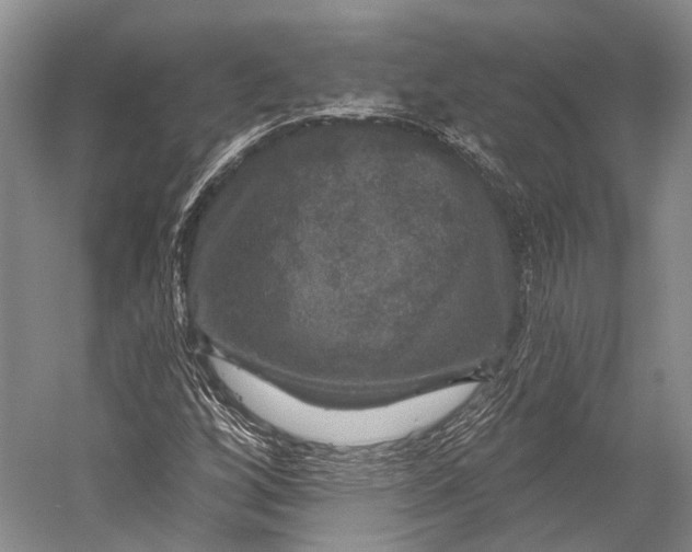 X0000056331256200509161700