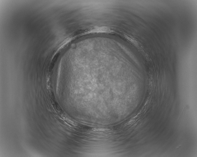 X0000056331258200509161700