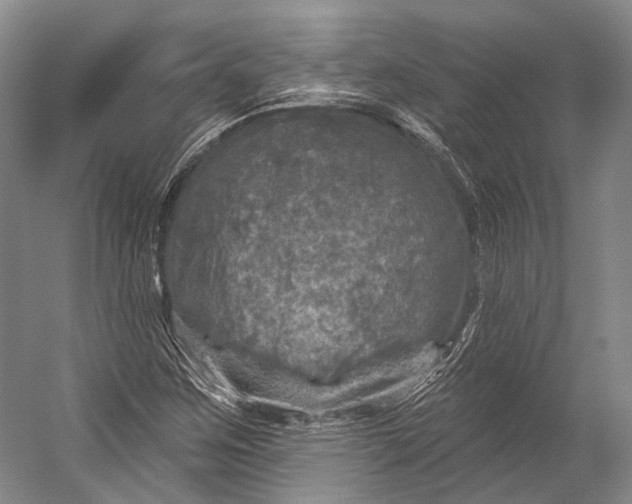 X0000056331259200509161700