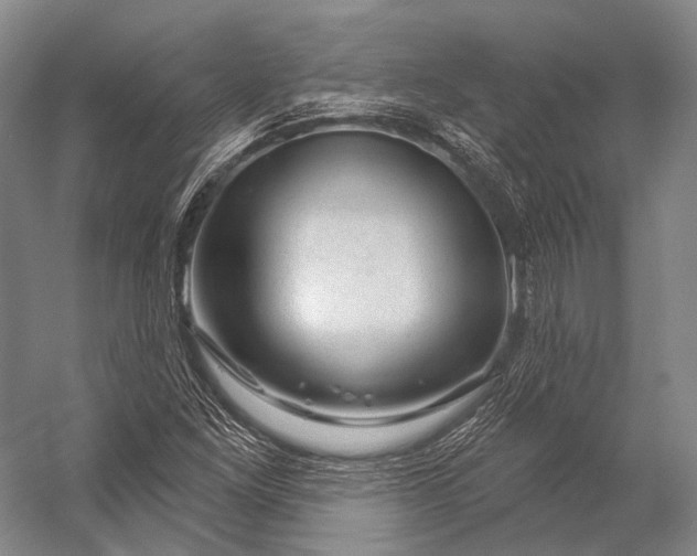 X0000056331261200509161700