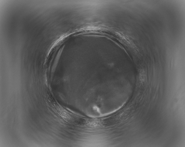 X0000056331262200509161700