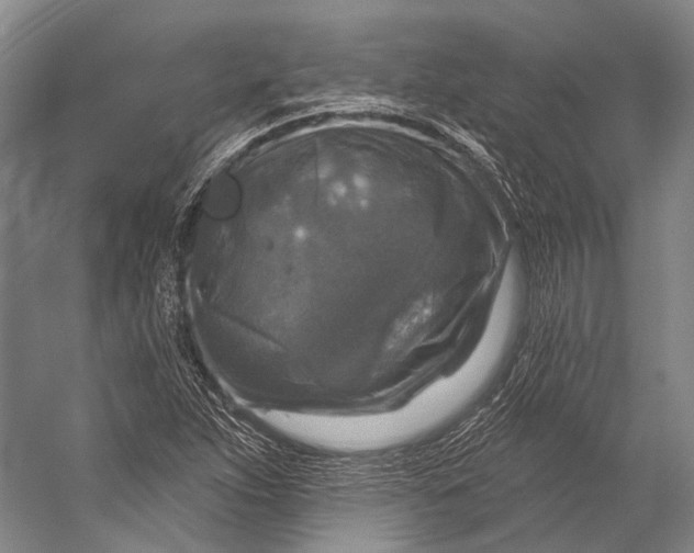 X0000056331263200509161700