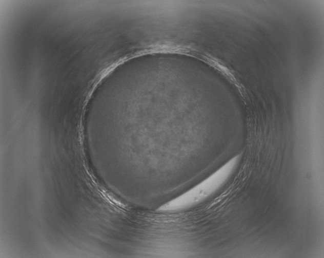 X0000056331264200509161700