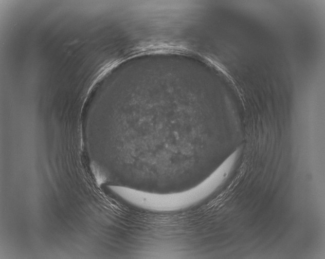 X0000056331267200509161700