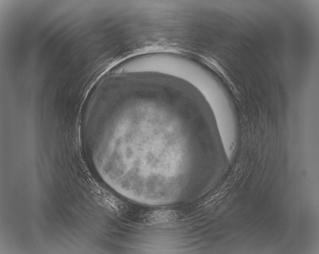 X0000056331268200509161700