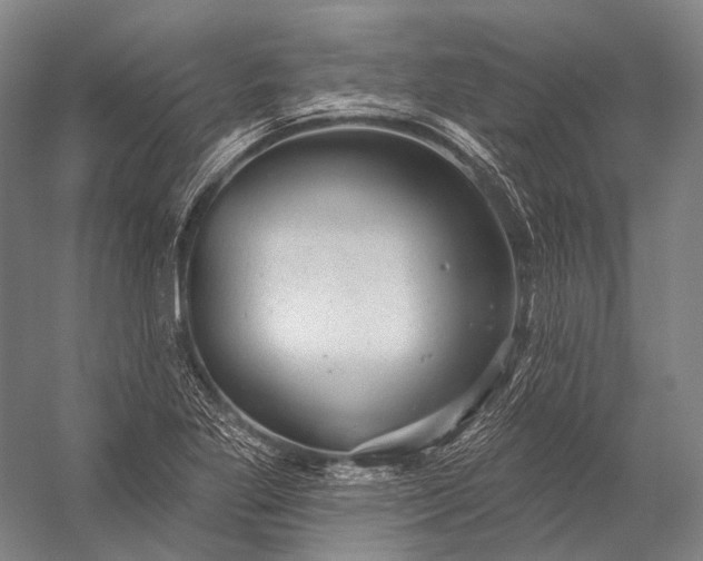 X0000056331269200509161700