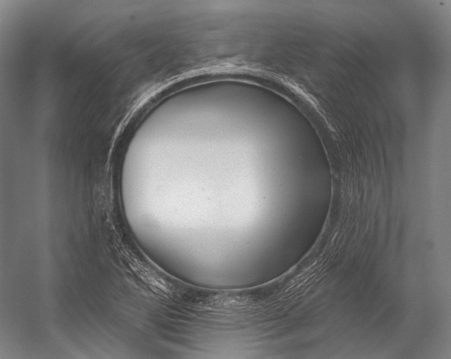 X0000056331270200509161700