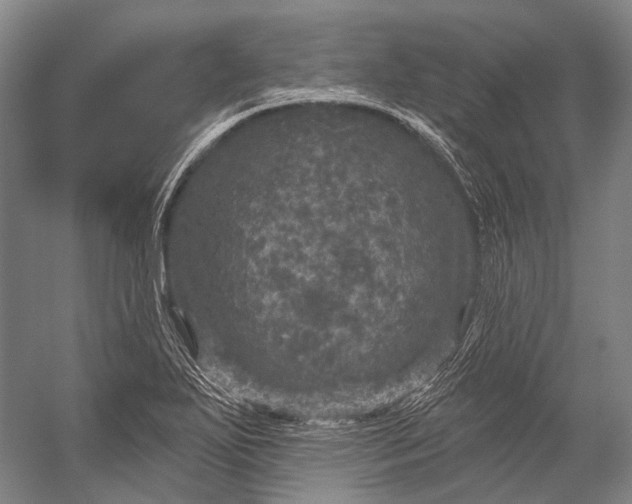 X0000056331271200509161700