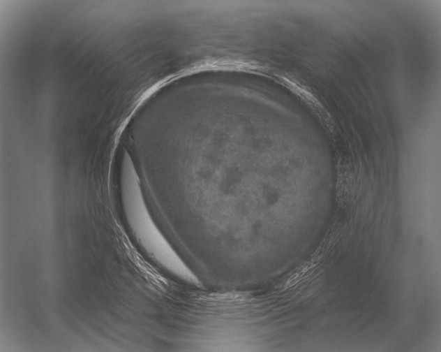 X0000056331272200509161700