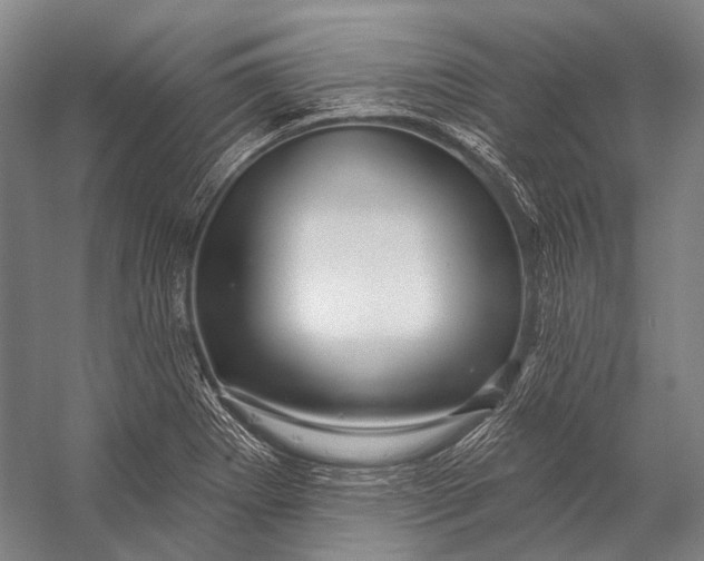 X0000056331273200509161700