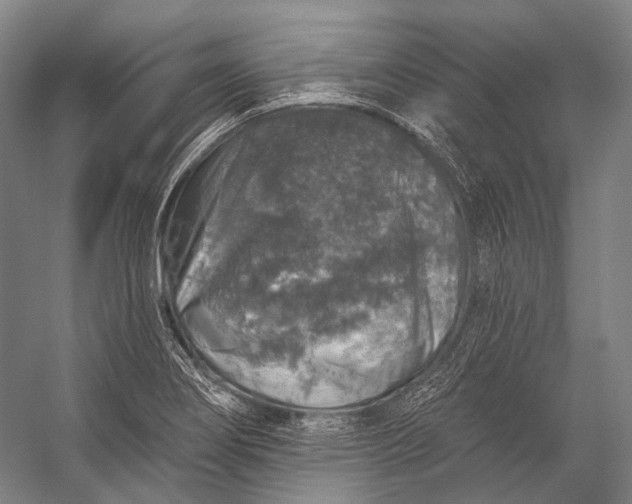 X0000056331274200509161700