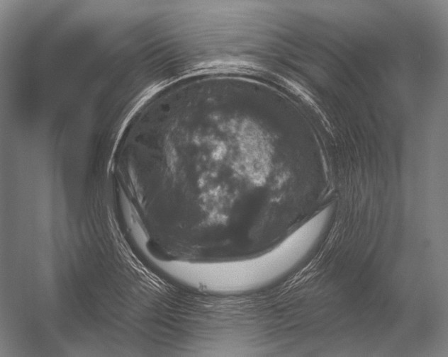 X0000056331275200509161700