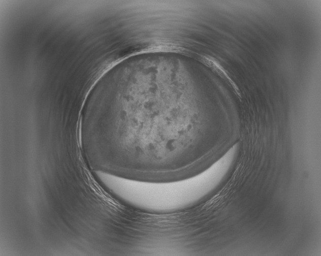 X0000056331276200509161700