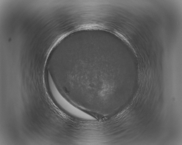 X0000056331277200509161700