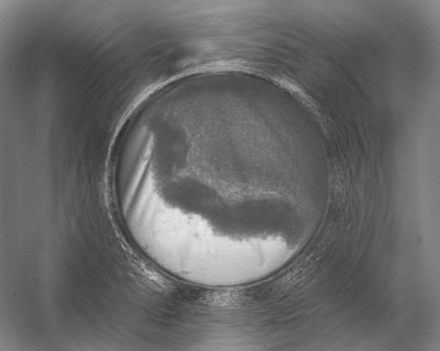 X0000056331278200509161700