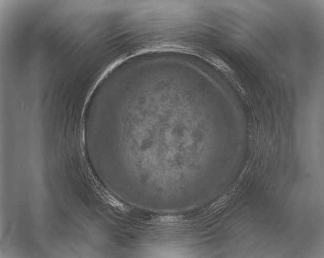 X0000056331280200509161700