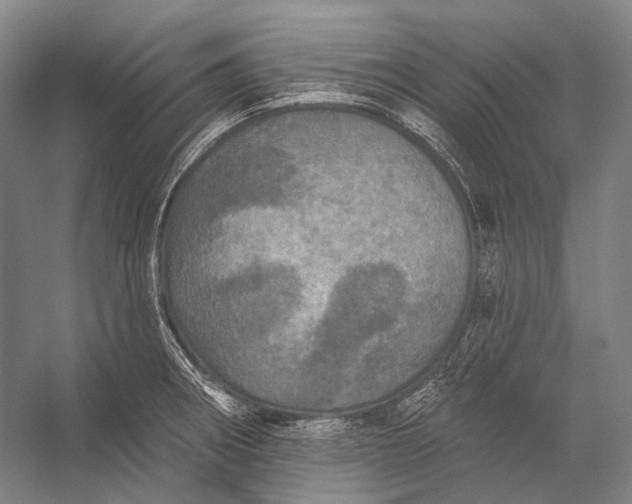 X0000056331282200509161700