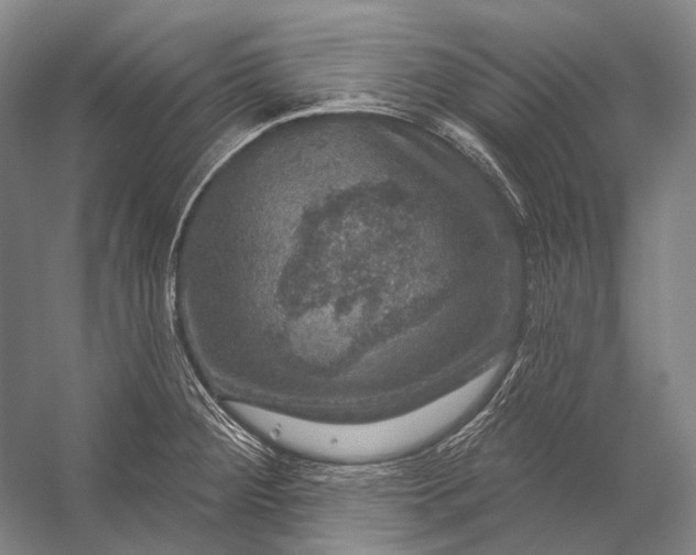 X0000056331284200509161700