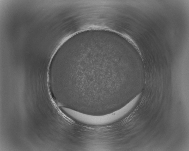 X0000056331287200509161700