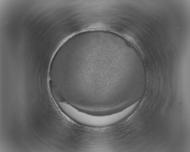 X0000056331288200509161659