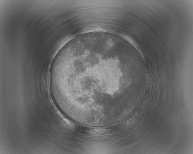 X0000056331290200509161659