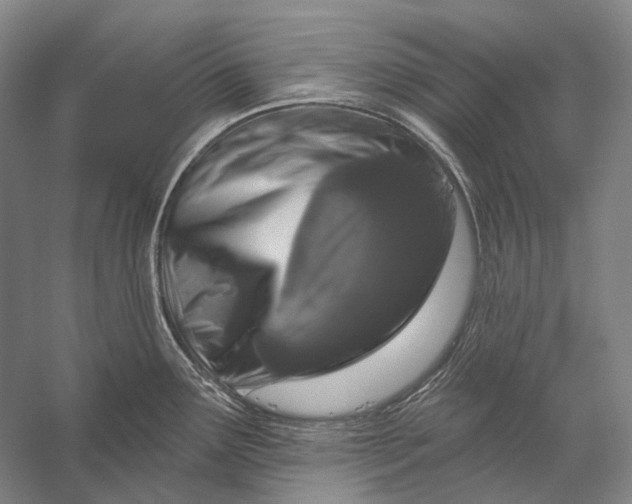 X0000056331291200509161659