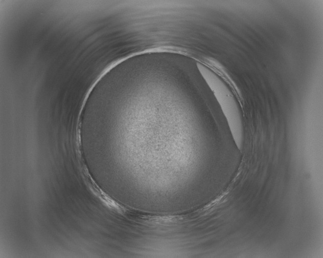 X0000056331292200509161659