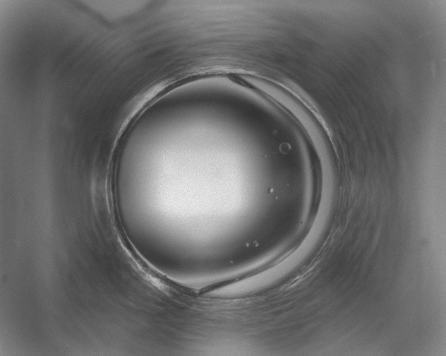 X0000056331293200509161659