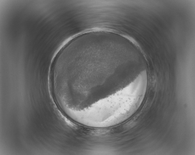 X0000056331294200509161659