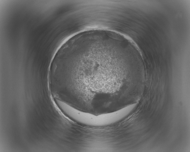 X0000056331295200509161659