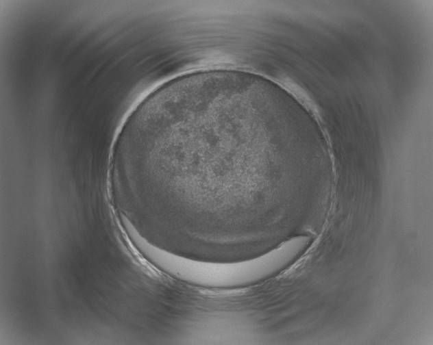 X0000056331296200509161659