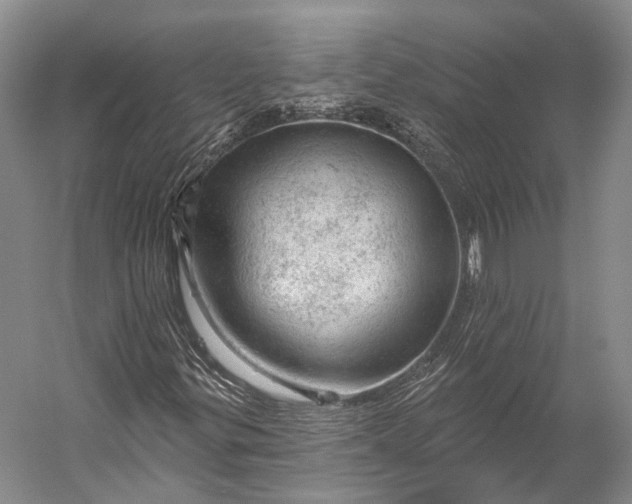 X0000056331299200509161659