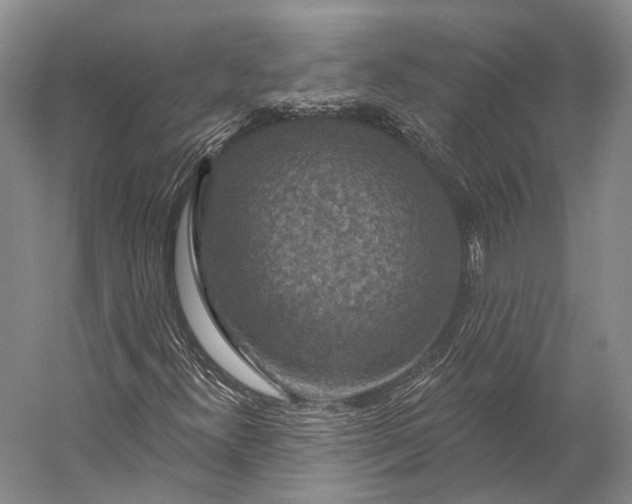 X0000056331300200509161659