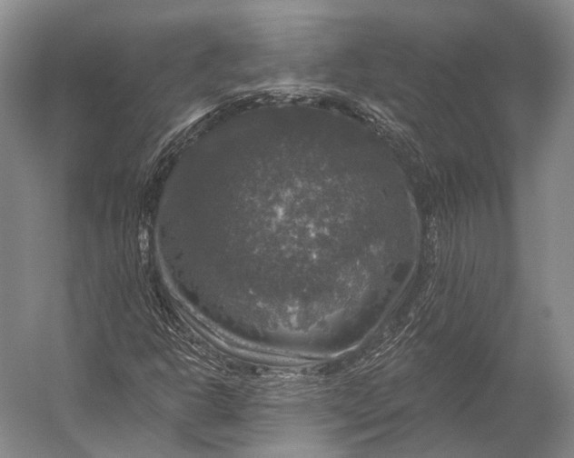 X0000056331302200509161659