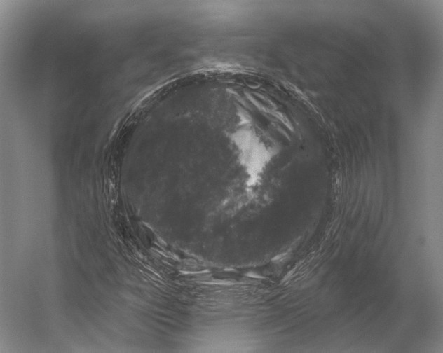 X0000056331303200509161659