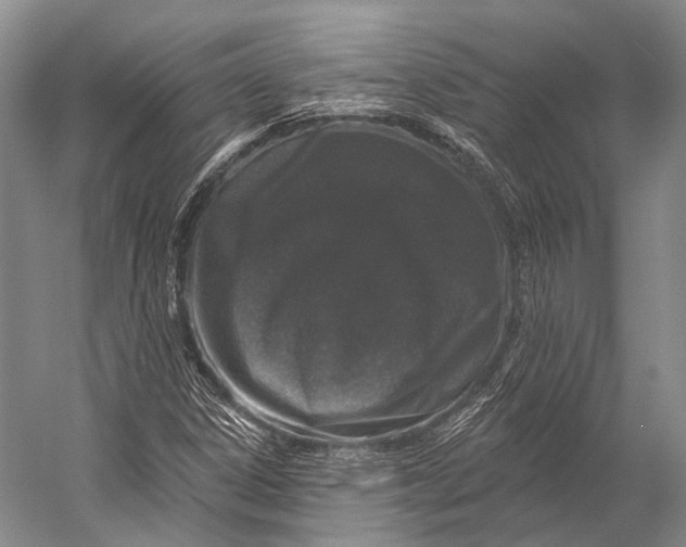 X0000056331306200509161659