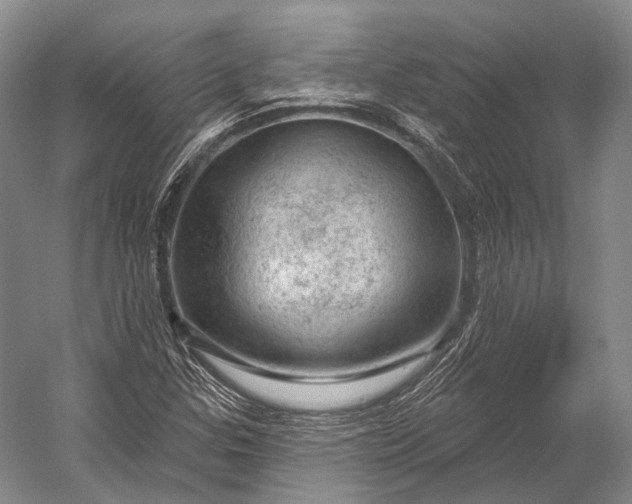 X0000056331307200509161659