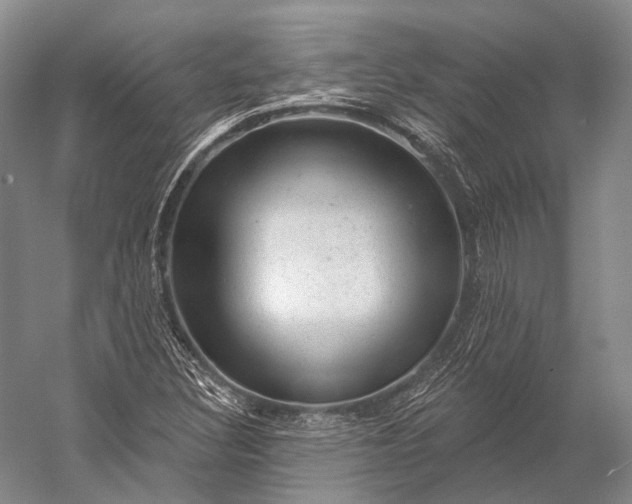 X0000056331308200509161659