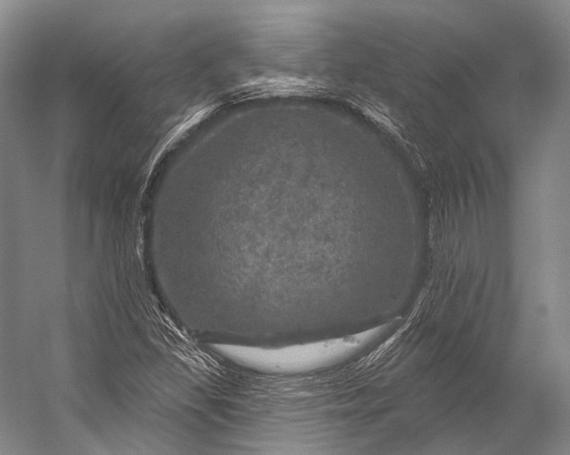 X0000056331309200509161659