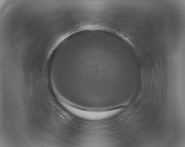 X0000056331311200509161659