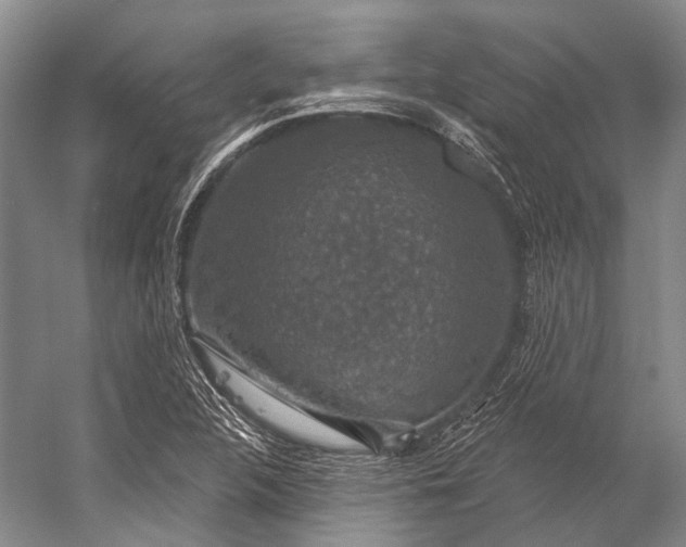 X0000056331312200509161659